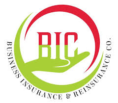 BIC Logo